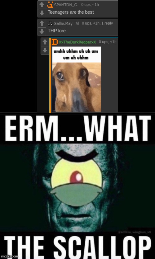 Erm...what the scallop | image tagged in erm what the scallop | made w/ Imgflip meme maker