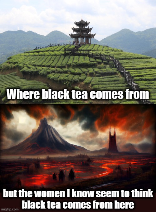 They won't even try Earl Grey! | Where black tea comes from; but the women I know seem to think
black tea comes from here | image tagged in memes,black tea,earl grey,women,mordor | made w/ Imgflip meme maker