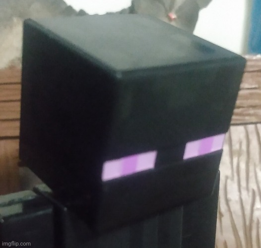 Enderman stare | image tagged in enderman stare | made w/ Imgflip meme maker