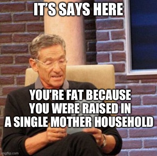 Maury Lie Detector Meme | IT’S SAYS HERE; YOU’RE FAT BECAUSE YOU WERE RAISED IN A SINGLE MOTHER HOUSEHOLD | image tagged in memes,maury lie detector,single mom,fat | made w/ Imgflip meme maker