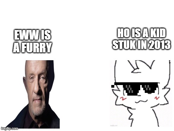 meme | HO IS A KID STUK IN 2013; EWW IS A FURRY | image tagged in blank white template | made w/ Imgflip meme maker