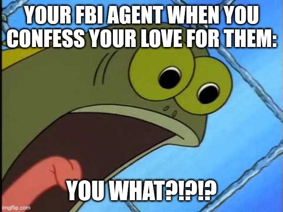 When you're in love with your FBI agent | YOUR FBI AGENT WHEN YOU CONFESS YOUR LOVE FOR THEM:; YOU WHAT?!?!? | image tagged in you what,fbi | made w/ Imgflip meme maker