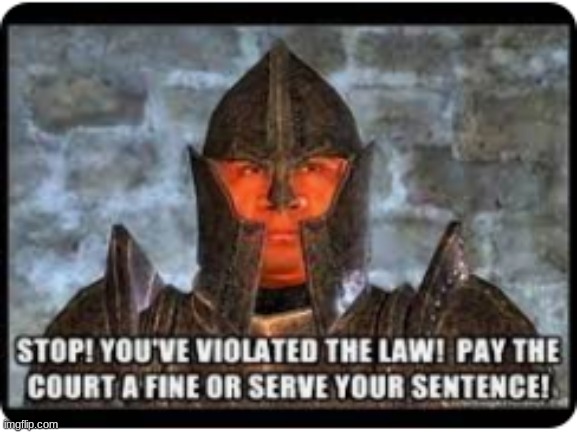 stop you've violated the law | image tagged in stop you've violated the law | made w/ Imgflip meme maker