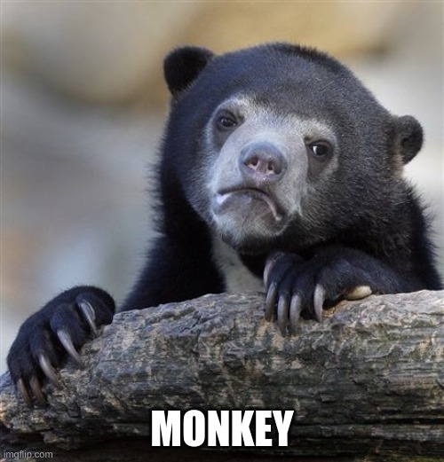 Confession Bear Meme | MONKEY | image tagged in memes,confession bear | made w/ Imgflip meme maker
