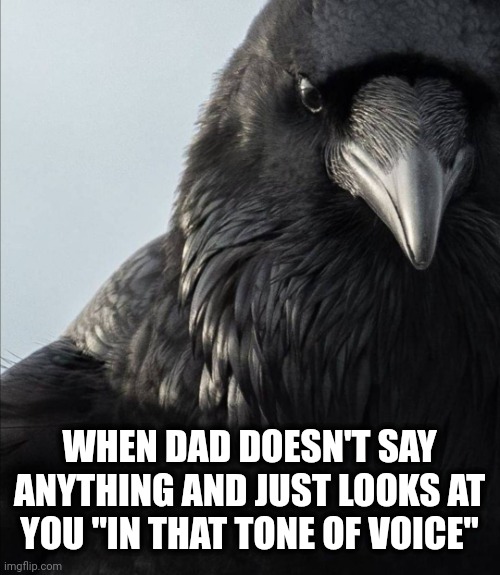Dad not pleased | WHEN DAD DOESN'T SAY ANYTHING AND JUST LOOKS AT YOU "IN THAT TONE OF VOICE" | image tagged in stern look | made w/ Imgflip meme maker