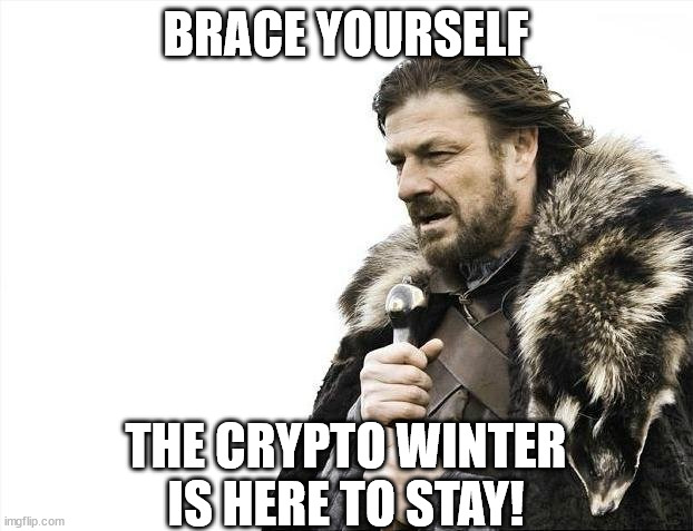 Brace Yourselves X is Coming Meme | BRACE YOURSELF; THE CRYPTO WINTER IS HERE TO STAY! | image tagged in memes,brace yourselves x is coming | made w/ Imgflip meme maker