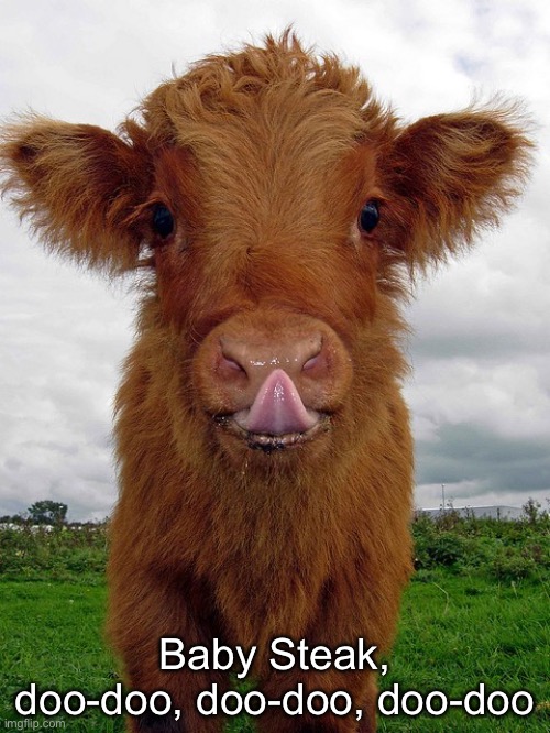Anti-vegan calf | Baby Steak, doo-doo, doo-doo, doo-doo | image tagged in anti-vegan calf | made w/ Imgflip meme maker