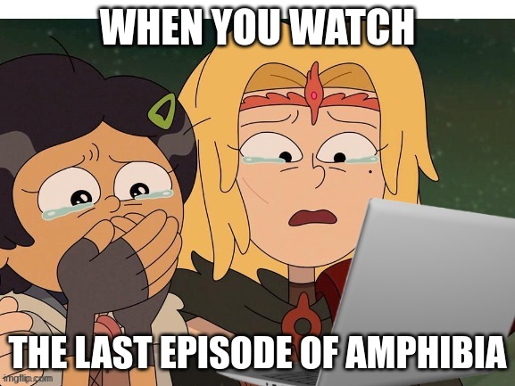 when you watch the last episode | WHEN YOU WATCH; THE LAST EPISODE OF AMPHIBIA | image tagged in crying at computer,memes,funny,relatable,amphibia | made w/ Imgflip meme maker