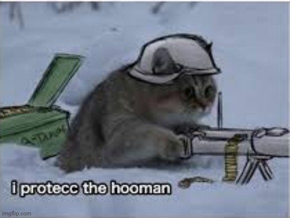 I protect the hooman | image tagged in i protect the hooman | made w/ Imgflip meme maker