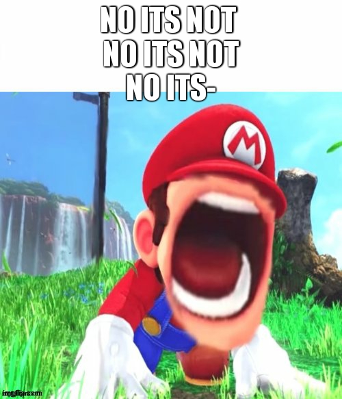 mario screaming | NO ITS NOT 
NO ITS NOT
NO ITS- | image tagged in mario screaming | made w/ Imgflip meme maker