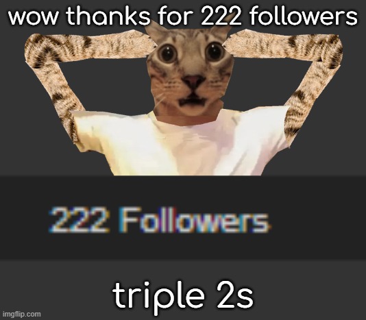 wow thanks for 222 followers; triple 2s | made w/ Imgflip meme maker