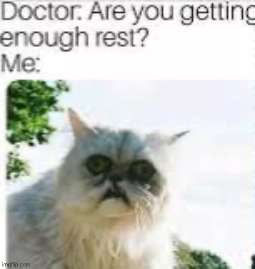 No I am not | made w/ Imgflip meme maker