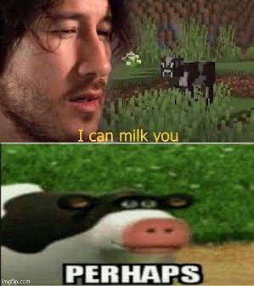 I can milk you | image tagged in perhaps cow | made w/ Imgflip meme maker