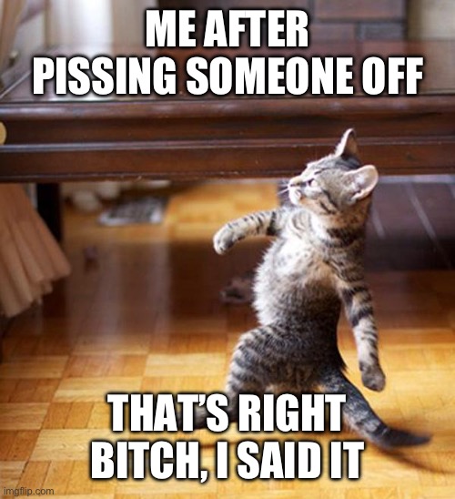 strutting kitten | ME AFTER PISSING SOMEONE OFF; THAT’S RIGHT BITCH, I SAID IT | image tagged in strutting kitten | made w/ Imgflip meme maker