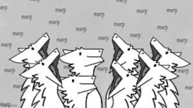 A bunch of merps | made w/ Imgflip meme maker