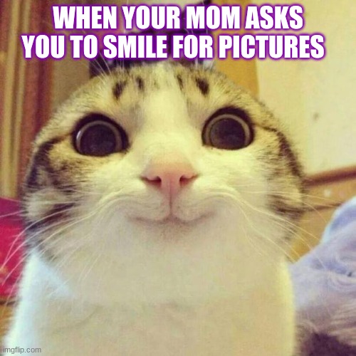 Smiling Cat Meme | WHEN YOUR MOM ASKS YOU TO SMILE FOR PICTURES | image tagged in memes,smiling cat | made w/ Imgflip meme maker