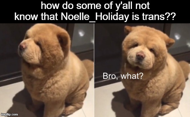 Y'all are like Internet Explorer | how do some of y'all not know that Noelle_Holiday is trans?? | image tagged in bro what | made w/ Imgflip meme maker