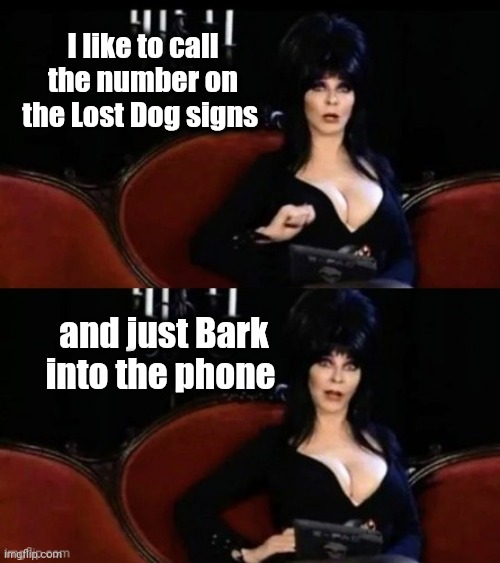 Elvira's joke | I like to call the number on the Lost Dog signs and just Bark into the phone | image tagged in elvira's joke | made w/ Imgflip meme maker