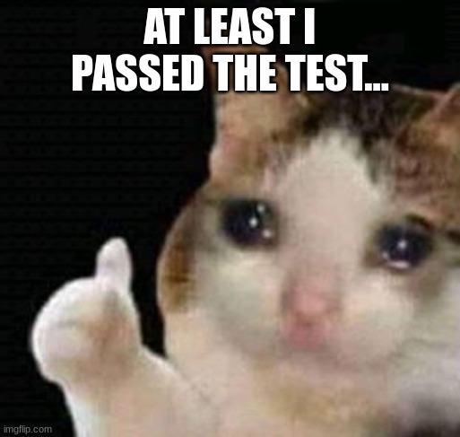 sad thumbs up cat | AT LEAST I PASSED THE TEST... | image tagged in sad thumbs up cat | made w/ Imgflip meme maker