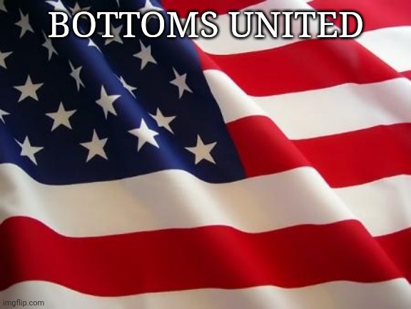 American flag | BOTTOMS UNITED | image tagged in american flag | made w/ Imgflip meme maker