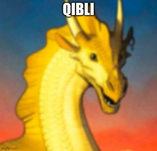 Qibli | QIBLI | image tagged in qibli | made w/ Imgflip meme maker