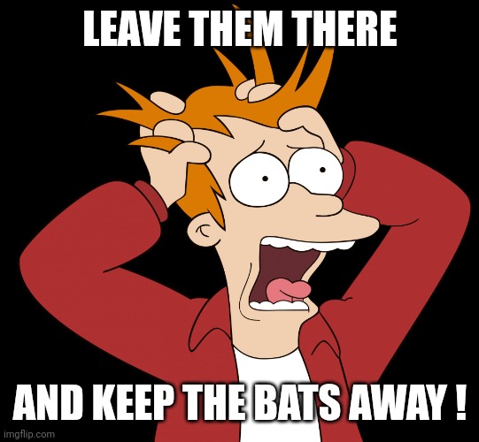 Futurama Fry Screaming | LEAVE THEM THERE AND KEEP THE BATS AWAY ! | image tagged in futurama fry screaming | made w/ Imgflip meme maker