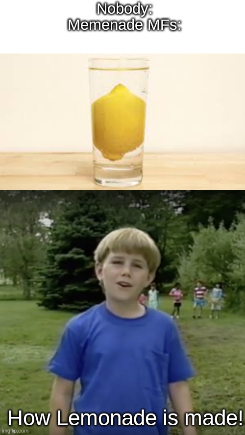 HeY GUyS tHIs iS hOw We mAkE lEMoNaDe! | Nobody:
Memenade MFs:; How Lemonade is made! | image tagged in blank white template,kazoo kid wait a minute who are you | made w/ Imgflip meme maker