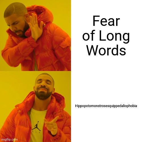 Drake Hotline Bling | Fear of Long Words; Hippopotomonstrosesquippedaliophobia | image tagged in memes,drake hotline bling | made w/ Imgflip meme maker
