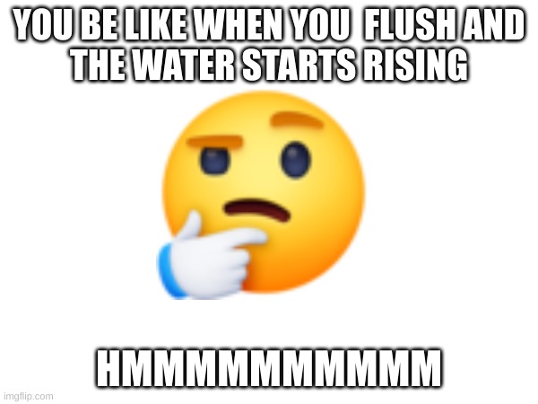 YOU BE LIKE WHEN YOU  FLUSH AND
THE WATER STARTS RISING; HMMMMMMMMMM | image tagged in funny | made w/ Imgflip meme maker