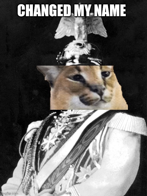 Kaiser Floppa the 1st | CHANGED MY NAME | image tagged in kaiser wilhelm | made w/ Imgflip meme maker