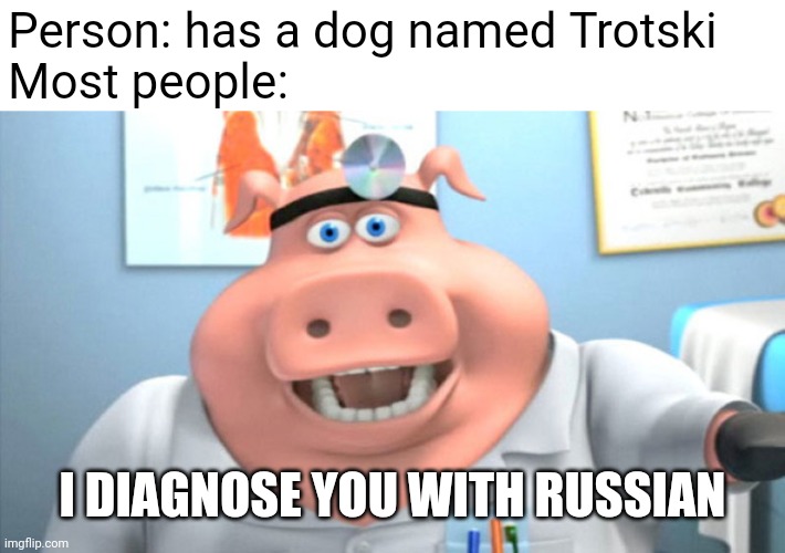 Most people be like when a name seems to be... | Person: has a dog named Trotski
Most people:; I DIAGNOSE YOU WITH RUSSIAN | image tagged in i diagnose you with dead,memes | made w/ Imgflip meme maker
