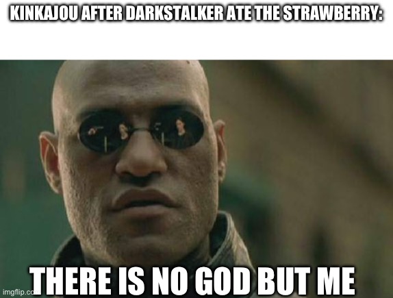 Matrix Morpheus Meme | KINKAJOU AFTER DARKSTALKER ATE THE STRAWBERRY:; THERE IS NO GOD BUT ME | image tagged in memes,matrix morpheus | made w/ Imgflip meme maker