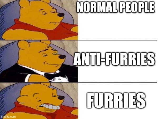 The anti-furries are the best | NORMAL PEOPLE; ANTI-FURRIES; FURRIES | image tagged in normal,anti furry,furry | made w/ Imgflip meme maker