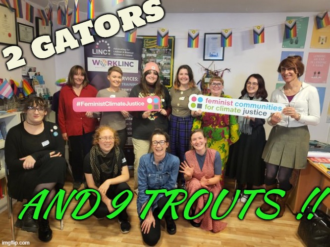 Gators trouts | 2 GATORS; AND 9 TROUTS  !! | image tagged in transgender,tired of hearing about transgenders,funny,transgender bathroom,feminism,politics | made w/ Imgflip meme maker