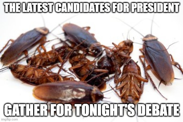 Debate Season | THE LATEST CANDIDATES FOR PRESIDENT; GATHER FOR TONIGHT'S DEBATE | image tagged in cockroaches | made w/ Imgflip meme maker