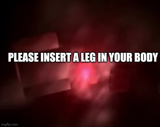 PlayStation 2: Red Screen of Death | PLEASE INSERT A LEG IN YOUR BODY | image tagged in playstation 2 red screen of death | made w/ Imgflip meme maker