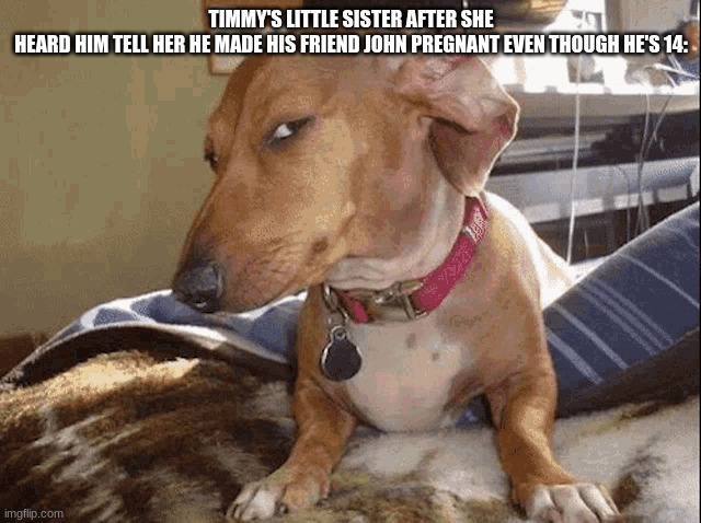 Bro What the Hell Timmy?!!!! YOU'RE 15 AND John's 14!!! | TIMMY'S LITTLE SISTER AFTER SHE HEARD HIM TELL HER HE MADE HIS FRIEND JOHN PREGNANT EVEN THOUGH HE'S 14: | image tagged in sus dog meme,timmy,john,gay,why are you gay | made w/ Imgflip meme maker