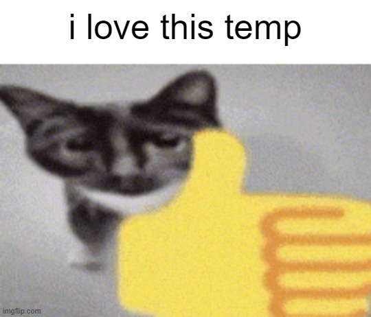 thumbs up cat | i love this temp | image tagged in thumbs up cat | made w/ Imgflip meme maker
