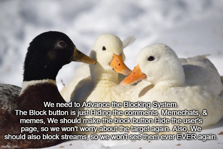 We should buff the Block Button so we can't view the user's page ever again. (Also add it for streams as well) | We need to Advance the Blocking System.
The Block button is just Hiding the comments, Memechats, & memes, We should make the block button Hide the user's page, so we won't worry about the target again. Also, We should also block streams, so we won't see them ever EVER again. | image tagged in dunkin ducks,imgflip,block | made w/ Imgflip meme maker