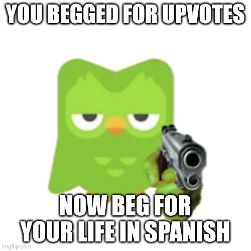 Duolingo | YOU BEGGED FOR UPVOTES NOW BEG FOR YOUR LIFE IN SPANISH | image tagged in duolingo | made w/ Imgflip meme maker