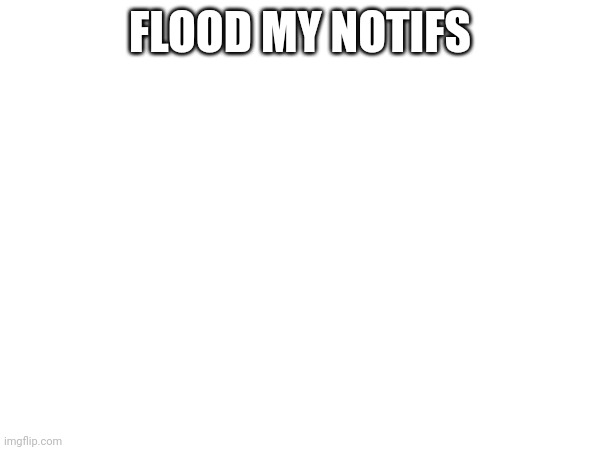 FLOOD MY NOTIFS | image tagged in flood my notifs | made w/ Imgflip meme maker