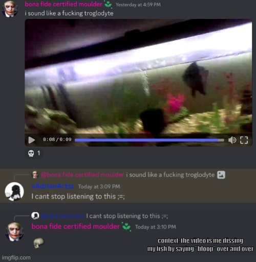 most normal discord conversation lmao | context: the video is me dissing my fish by saying "bloop" over and over | made w/ Imgflip meme maker