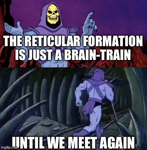 he man skeleton advices | THE RETICULAR FORMATION IS JUST A BRAIN-TRAIN; UNTIL WE MEET AGAIN | image tagged in he man skeleton advices | made w/ Imgflip meme maker