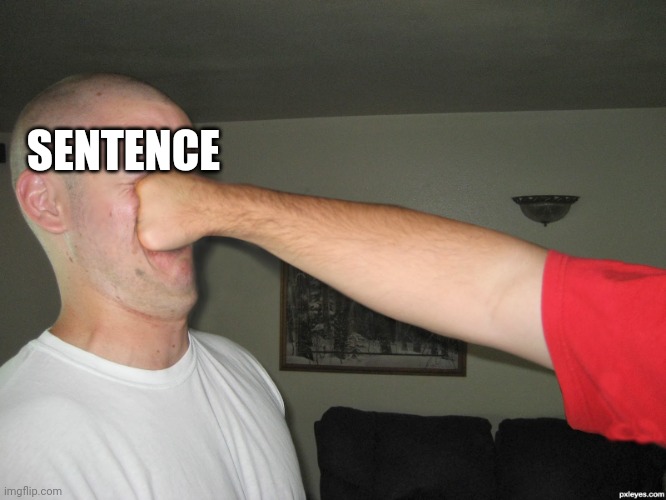 Face punch | SENTENCE | image tagged in face punch | made w/ Imgflip meme maker