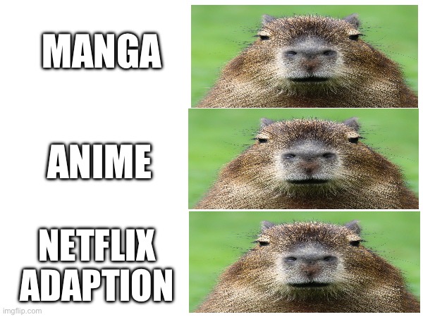 . | MANGA; ANIME; NETFLIX ADAPTION | image tagged in anime | made w/ Imgflip meme maker