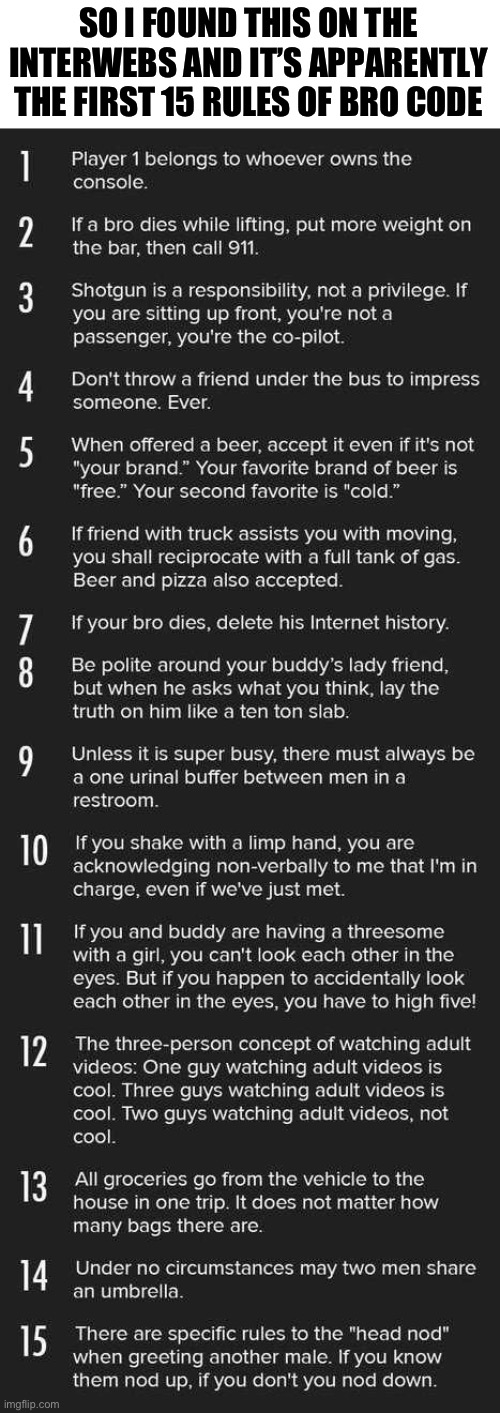 Let me know any rules to add | SO I FOUND THIS ON THE INTERWEBS AND IT’S APPARENTLY THE FIRST 15 RULES OF BRO CODE | image tagged in bros,code | made w/ Imgflip meme maker