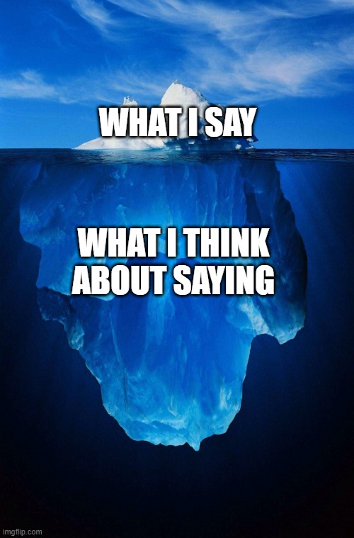 iceberg | WHAT I SAY; WHAT I THINK ABOUT SAYING | image tagged in iceberg,thinking | made w/ Imgflip meme maker