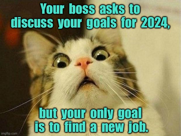 Goals for 2024 | Your  boss  asks  to discuss  your  goals  for  2024, but  your  only  goal  is  to  find  a  new  job. | image tagged in scared cat,boss asks,discuss goals 2024,your goal,find new job,fun | made w/ Imgflip meme maker