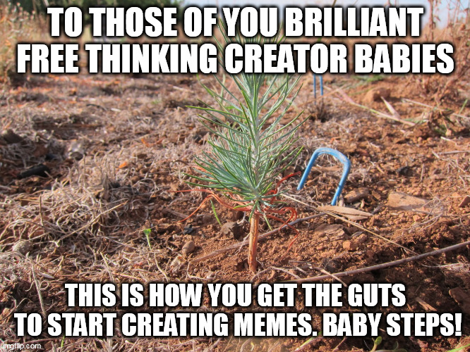DARE TO BE YOU. | TO THOSE OF YOU BRILLIANT FREE THINKING CREATOR BABIES; THIS IS HOW YOU GET THE GUTS
 TO START CREATING MEMES. BABY STEPS! | image tagged in individuality,truth,god,reality | made w/ Imgflip meme maker