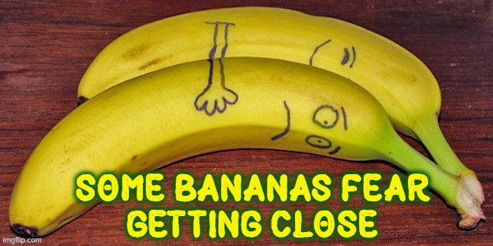 "Getting to know you," he whispered in her ear in the dark. | SOME BANANAS FEAR
GETTING CLOSE | image tagged in vince vance,bananas,fear,romance,spooning,memes | made w/ Imgflip meme maker